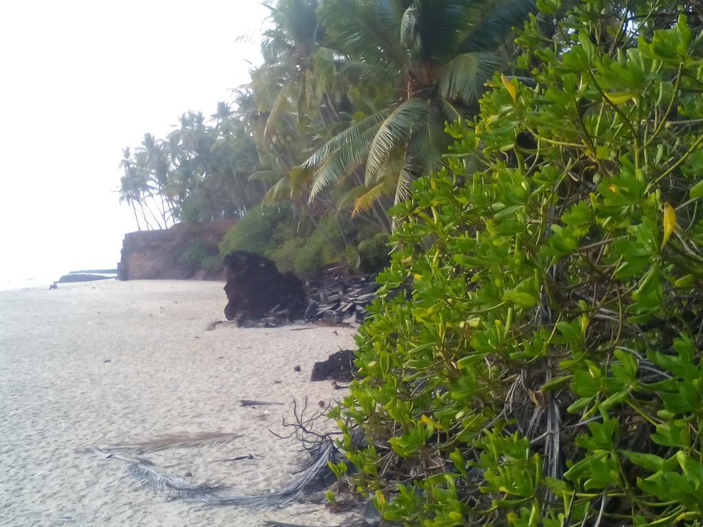 Hotel Ivory Coaste Kannur Esterno foto